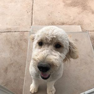 Meet your Posher, Andrew